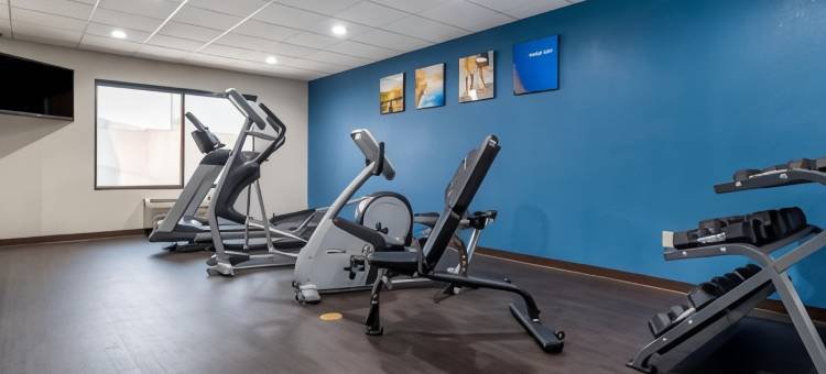 佩尔城靠近洛根马丁湖的康福特套房(Comfort Suites Pell City Near Logan Martin Lake)图片