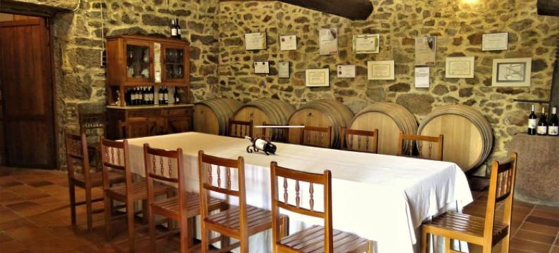 拉加尔得科斯塔葡萄酒旅游酒店(Enoturismo Lagar de Costa)图片