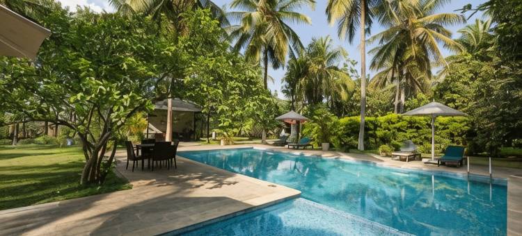 马吉非拉旅馆(The Mangifera)图片