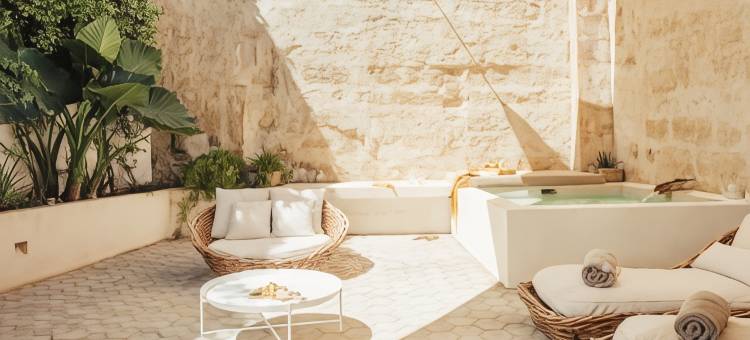 哈迪德赛斯布鲁克斯精品酒店(Jardí de Ses Bruixes Boutique Hotel)图片