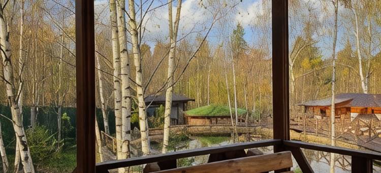 博雅思卡亚尤萨波酒店(Boyarskaya Usadba Hotel)图片