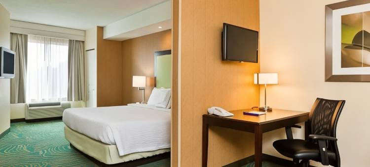 夏洛特诺曼湖/莫尔斯威尔 SpringHill Suites 酒店(SpringHill Suites Charlotte Lake Norman/Mooresville)图片