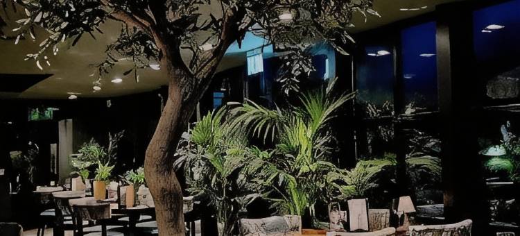 萨瑟兰(The Sutherland)图片