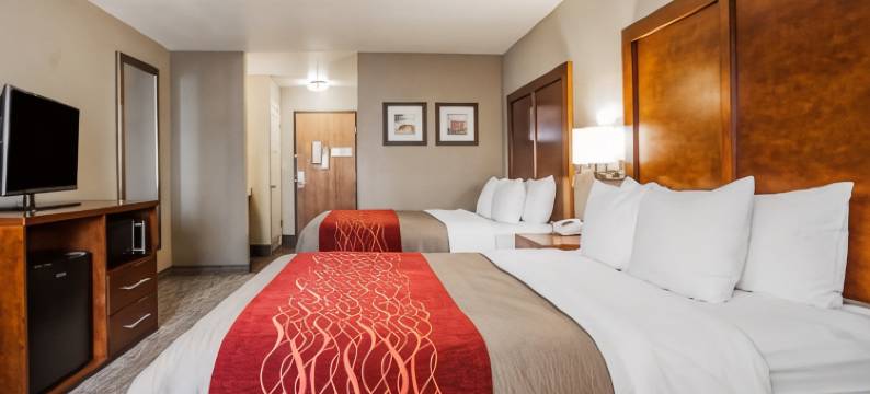 南马歇尔镇舒适酒店(Comfort Inn Marshalltown South)图片