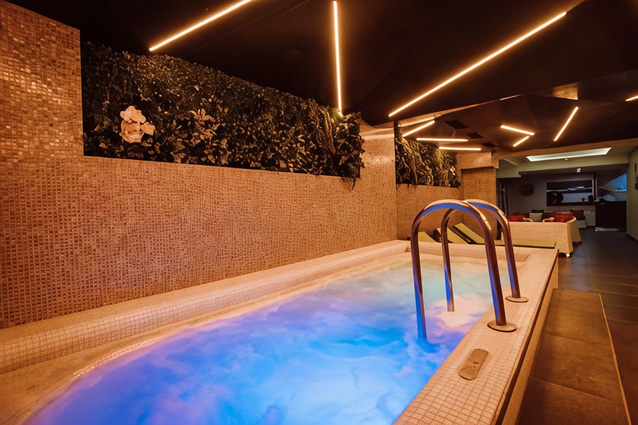 Plaza V HotelOver view