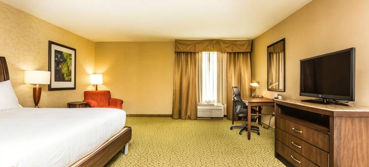 圣乔治希尔顿花园酒店(Hilton Garden Inn St. George)图片