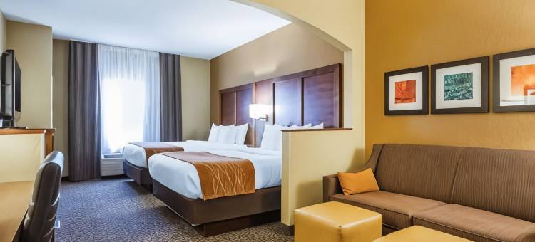 舒适套房酒店(Comfort Suites)图片
