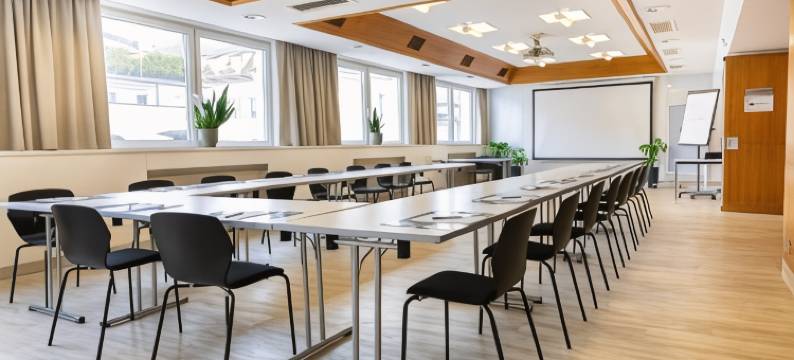 达斯雷尼什商务酒店(Das Reinisch Hotel - Near Vienna Airport)图片