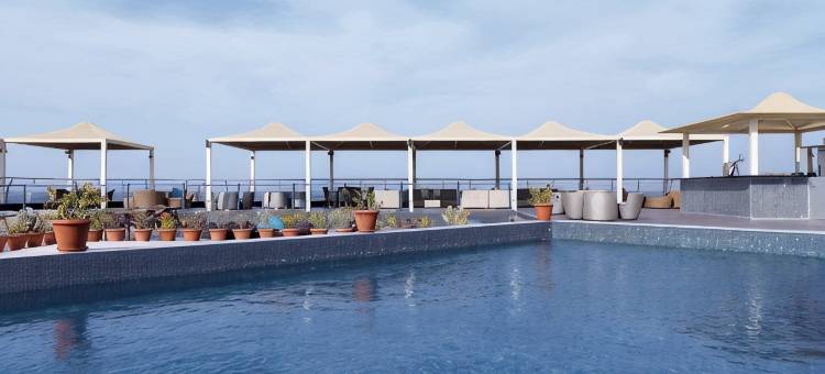 黄金郁金香马斯喀特(Golden Tulip Muscat)图片