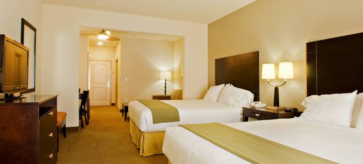 智选假日套房酒店新乐北(Holiday Inn Express & Suites Shamrock North)图片