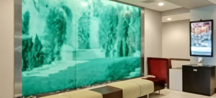 Hotel Indigo 芝加哥弗农山庄(Hotel Indigo Chicago-Vernon Hills)图片