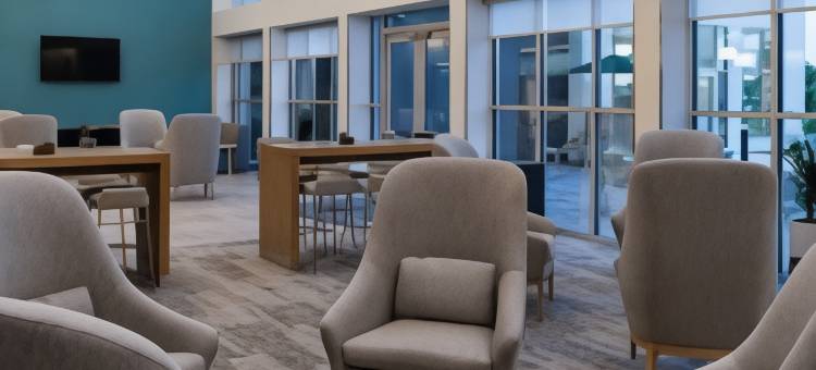 奥佛兰公园源宿酒店(Element Overland Park)图片