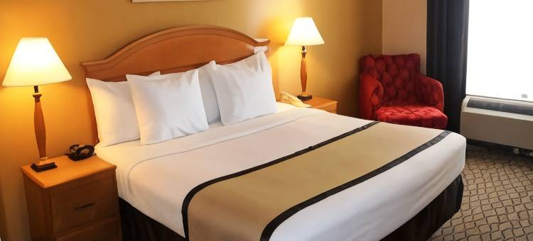 坎顿呗盟套房酒店(Baymont by Wyndham Canton)图片