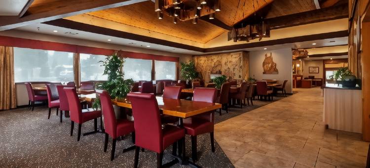 树屋贝斯特韦斯特优质酒店(Best Western Plus Tree House)图片