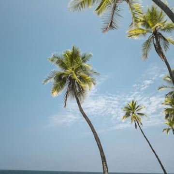 美国夏威夷瓦胡岛+夏威夷岛8日7晚私家团