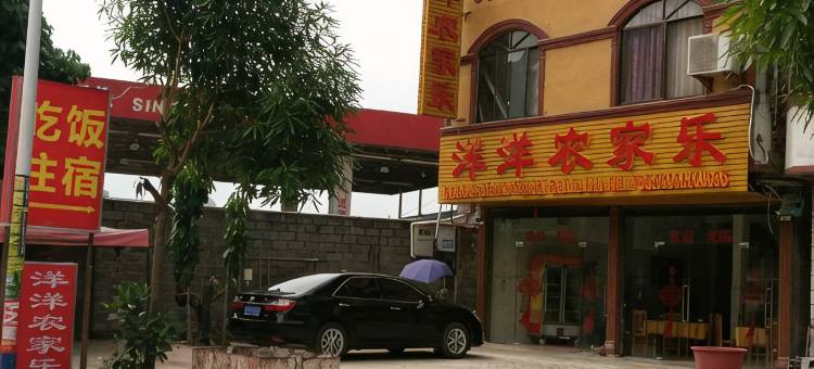 大新洋洋农家乐图片