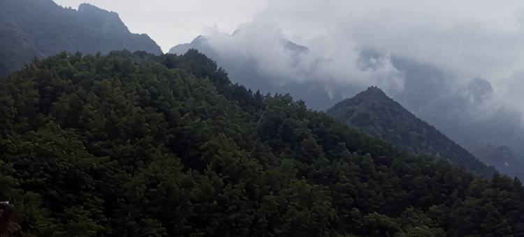 山阳天竺缘农家乐图片