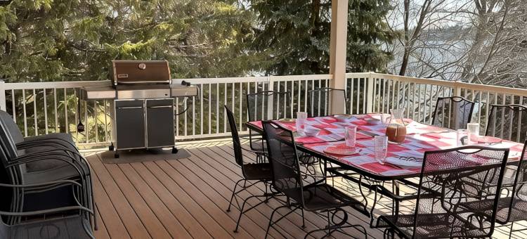 Quiet Luxury Lakefront Retreat w/Pontoon and Dock Included - Alexandria, MN图片