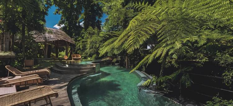 阿玛瑞亚度假村及水疗中心 乌布 由Ini Vie酒店管理(Amarea Resort Ubud by Ini VIE Hospitality)图片