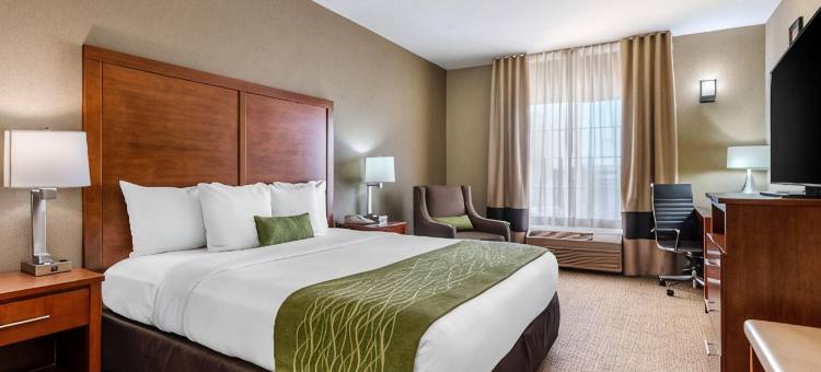 舒适套房酒店-萨克拉门托大学城(Comfort Inn & Suites Sacramento - University Area)图片