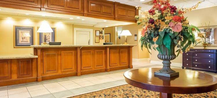 亚特兰大北部Budgetel酒店(Budgetel Inn & Suites Atlanta)图片