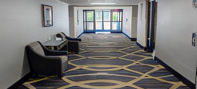 夏洛特机场东南温德姆花园酒店(Wyndham Garden Charlotte Airport Southeast)图片