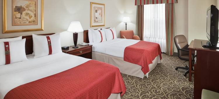 尚迪利杜勒斯世博机场假日酒店(Holiday Inn Chantilly-Dulles Expo (Arpt))图片