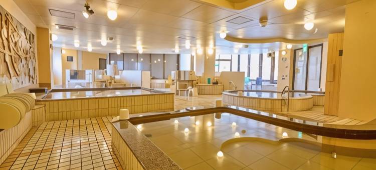 宫崎第一酒店(Miyazaki Daiichi Hotel)图片