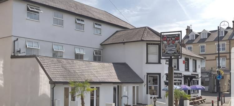 OYO 沃特曼斯阿姆斯赫舍姆酒店(OYO the Watermans Arms Hersham)图片