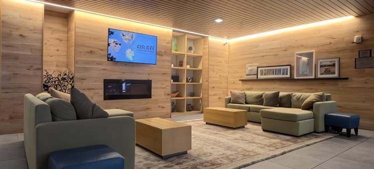 诺维丽怡酒店(Country Inn & Suites by Radisson, Novi, MI)图片