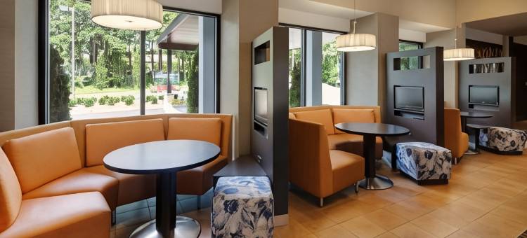 亚特兰大温蒂山/球场万怡酒店(Courtyard by Marriott Atlanta Windy Hill/Ballpark)图片
