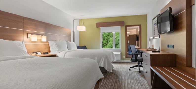 智选假日套房酒店萨里(Holiday Inn Express & Suites SURREY by IHG)图片