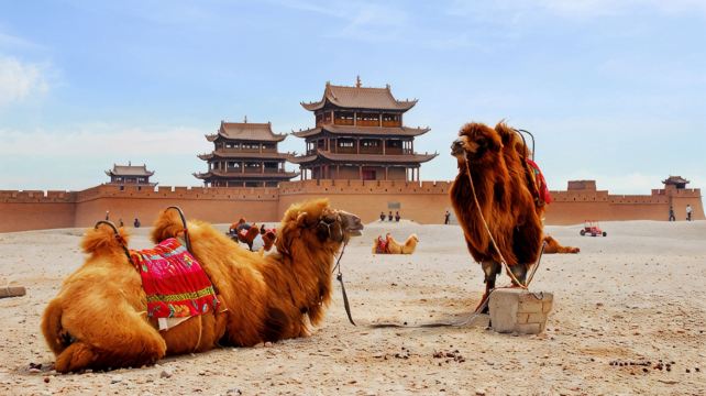 9-Day China Classic Silk Road Adventure Private Tour from Urumqi·Xinjiang, Dunhuang, Zhangye and Xining丨Mogao Caves, Colorful Danxia and Chaka Salt Lake
