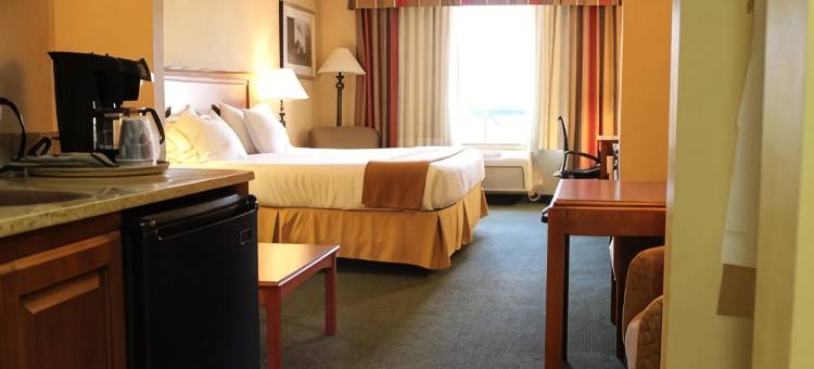 特哈查比智选假日酒店(Holiday Inn Express & Suites Tehachapi Hwy 58/Mill ST.)图片