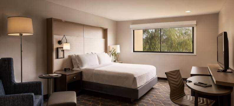 圣塔安那奥兰治郡机场假日酒店(Holiday Inn SANTA ANA-ORANGE CO. ARPT by IHG)图片
