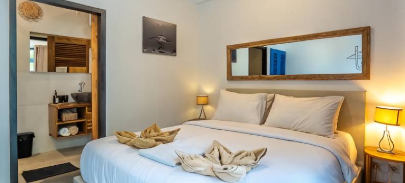 拉布安巴霍科莫多龙潜酒店(Dragon Dive Komodo Dive Resort)图片