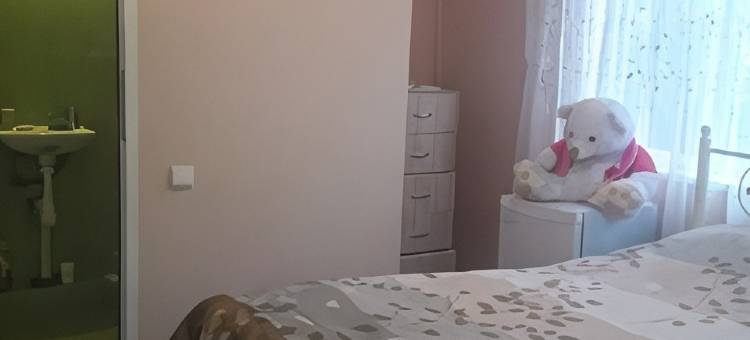 Na Belykh Akatsy Guest House图片