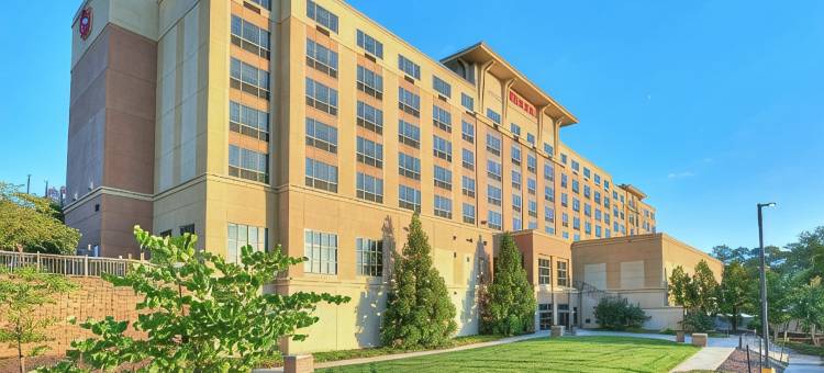 巴尔的摩华盛顿机场喜来登酒店-I(Sheraton Baltimore Washington Airport Hotel - BWI)图片