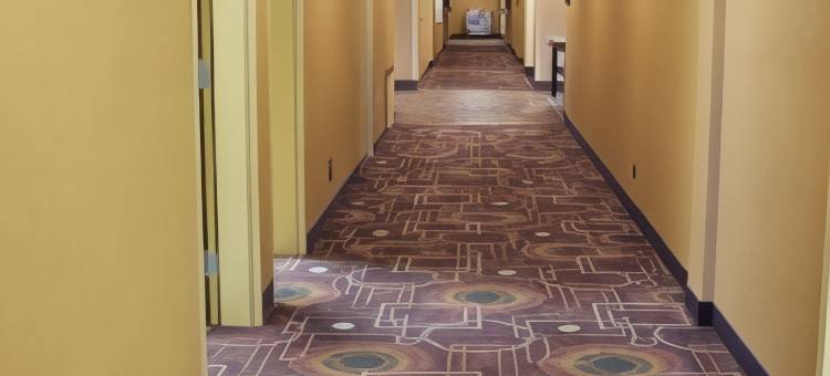 金曼欢朋酒店及套房(Hampton Inn & Suites Kingman)图片