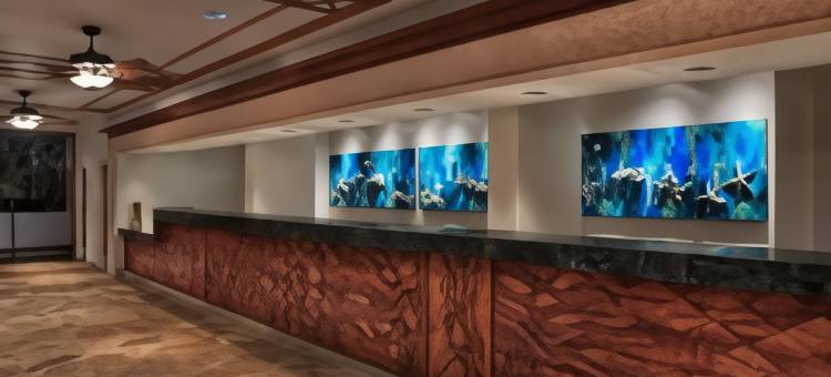 毛伊岛海洋俱乐部万豪酒店 - 拉海纳&纳皮里塔(Marriott's Maui Ocean Club  - Lahaina & Napili Towers)图片