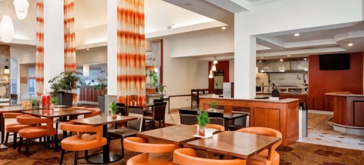 坦帕北希尔顿花园酒店(Hilton Garden Inn Tampa North)图片