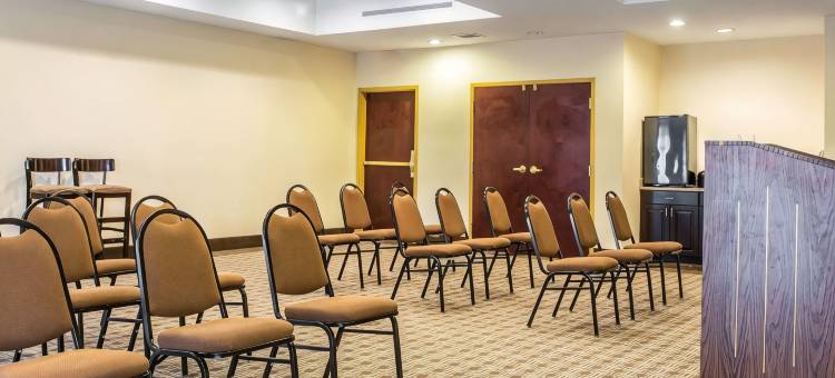 岩石丘曼彻斯特梅多斯区舒适套房酒店(Comfort Suites Rock Hill Manchester Meadows Area)图片