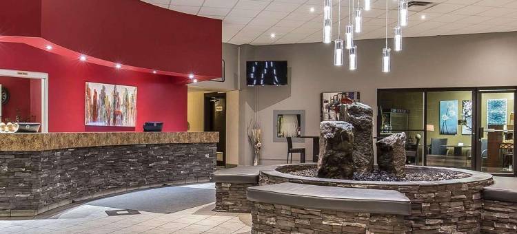 温德姆花园梅迪辛哈特会议中心(Wyndham Garden Medicine Hat Conference Center)图片