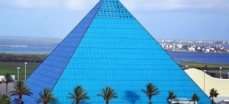 穆迪花园水疗酒店及会议中心(Moody Gardens Hotel Spa and Convention Center)图片