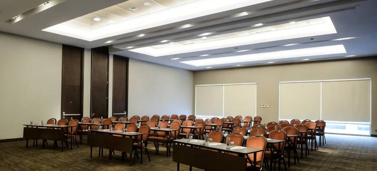 希尔顿花园酒店-圣地亚哥机场(Hilton Garden Inn Santiago - Airport)图片