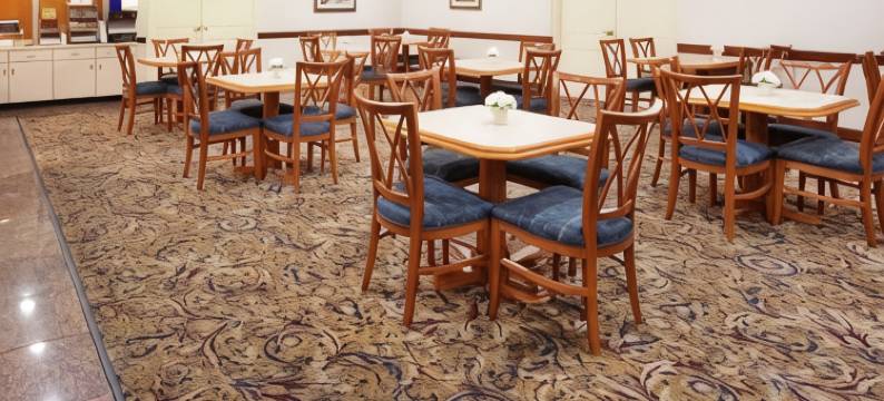 贝斯特韦斯特普拉斯萨凡纳盖特韦酒店(Best Western Plus Savannah Gateway)图片