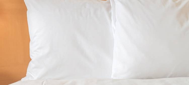 巴黎苏雷斯尼隆尚美居酒店(Hôtel Mercure Paris Suresnes Longchamp)图片