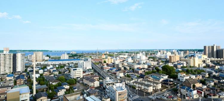 筑波马罗德酒店(Hotel Marroad Tsukuba)图片