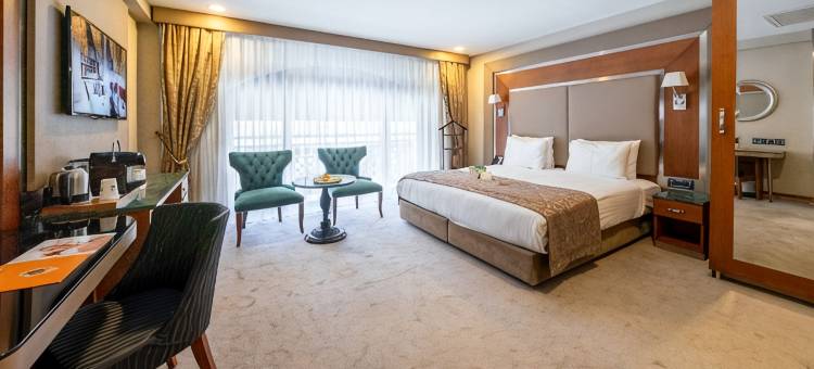 多索多西叶尼卡皮酒店(Dosso Dossi Hotels Yenikapı)图片