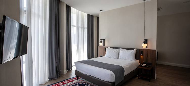 特拉维假日酒店(Holiday Inn TELAVI by IHG)图片